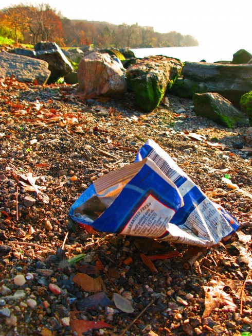 Bag on shoreline