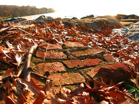 Brick on shore