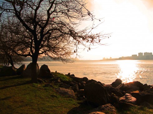 River silhouette