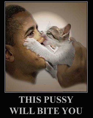 obama pussy will bite