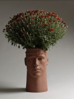 plant head