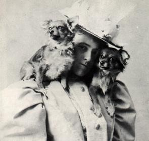 edith-wharton-and-dogs