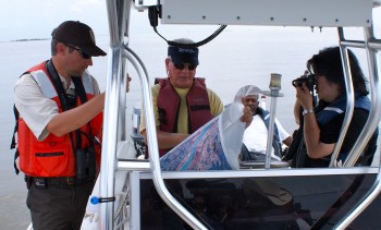 Alan Chin at work (photo by Suzannah Evans)