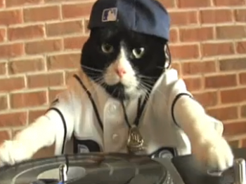 djkitty