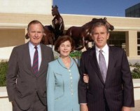 The Bushes