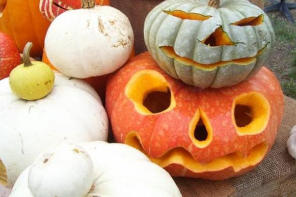 Heirloom Pumpkins at Whole Foods.