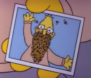 beardofbees