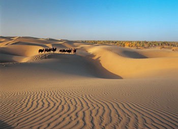 Registan Desert