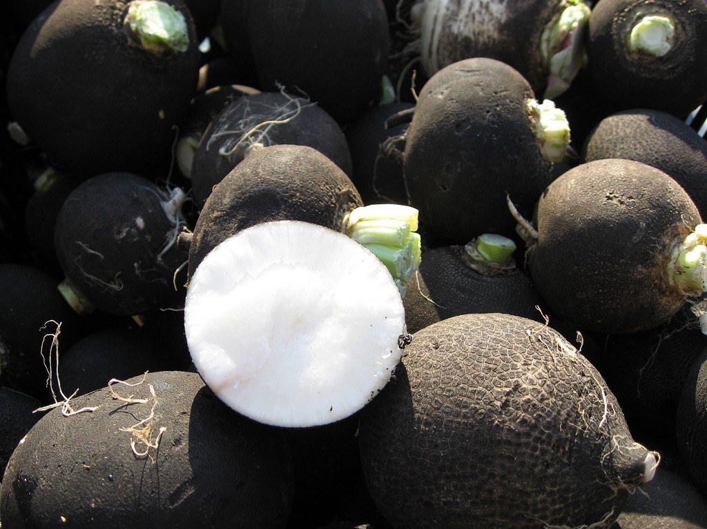 black radishes dang