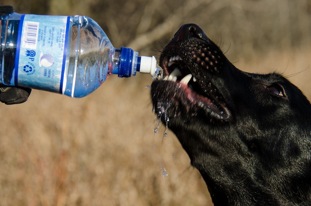 thirsty boy