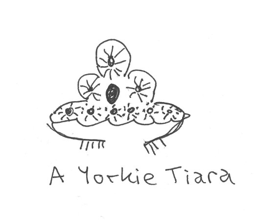 Yorkietiara