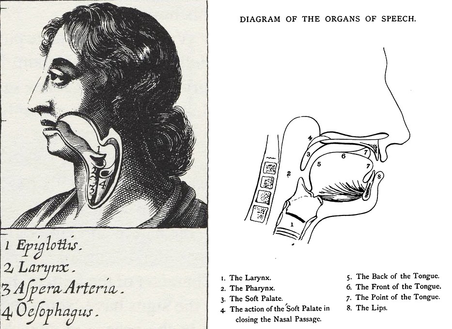 figure4and5