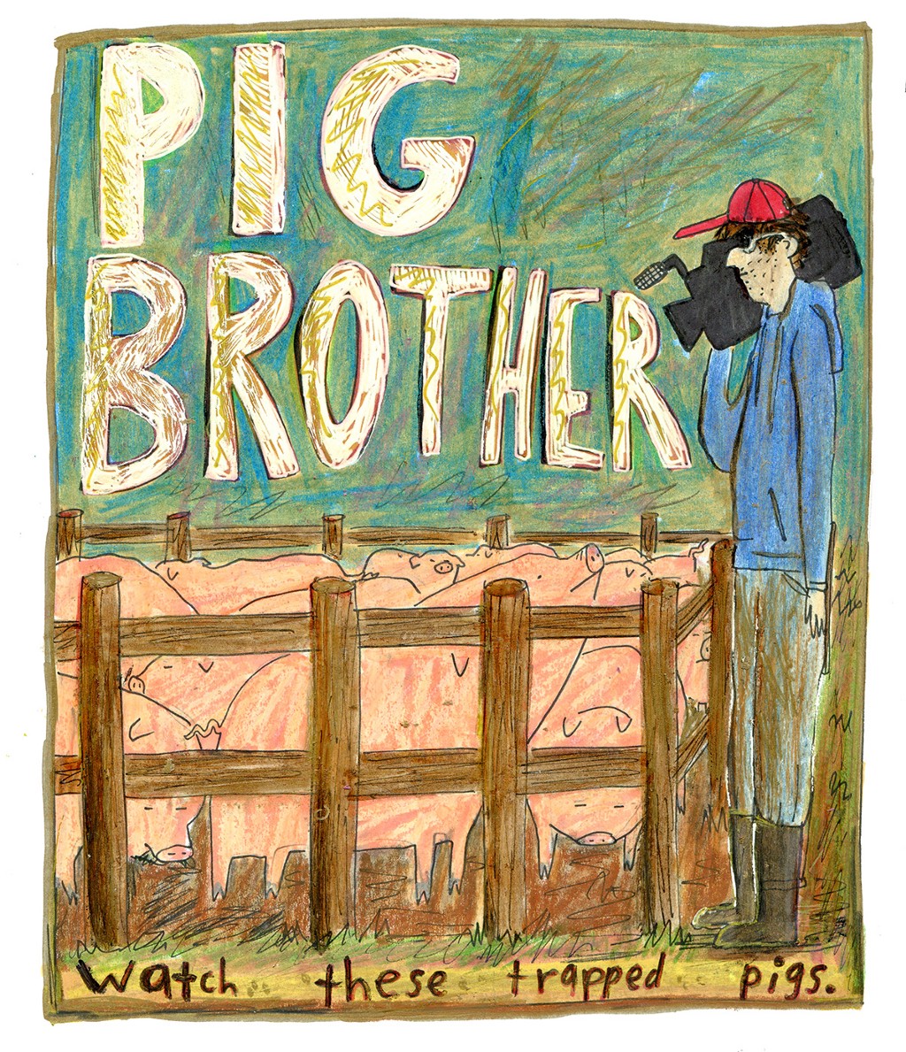 brother_pig